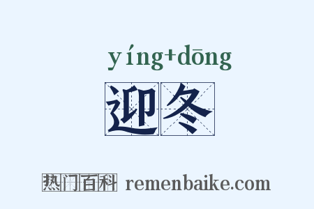 迎冬是什么意思的图片